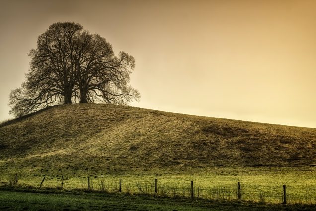 4 Nights & 5 Days Hill Country Tour Sri Lanka