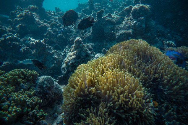 6 Nights & 7 Days Beach Tour Sri Lanka